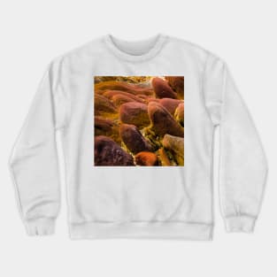 Bright Hills Crewneck Sweatshirt